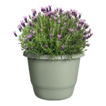 amiga round 47cm thyme green